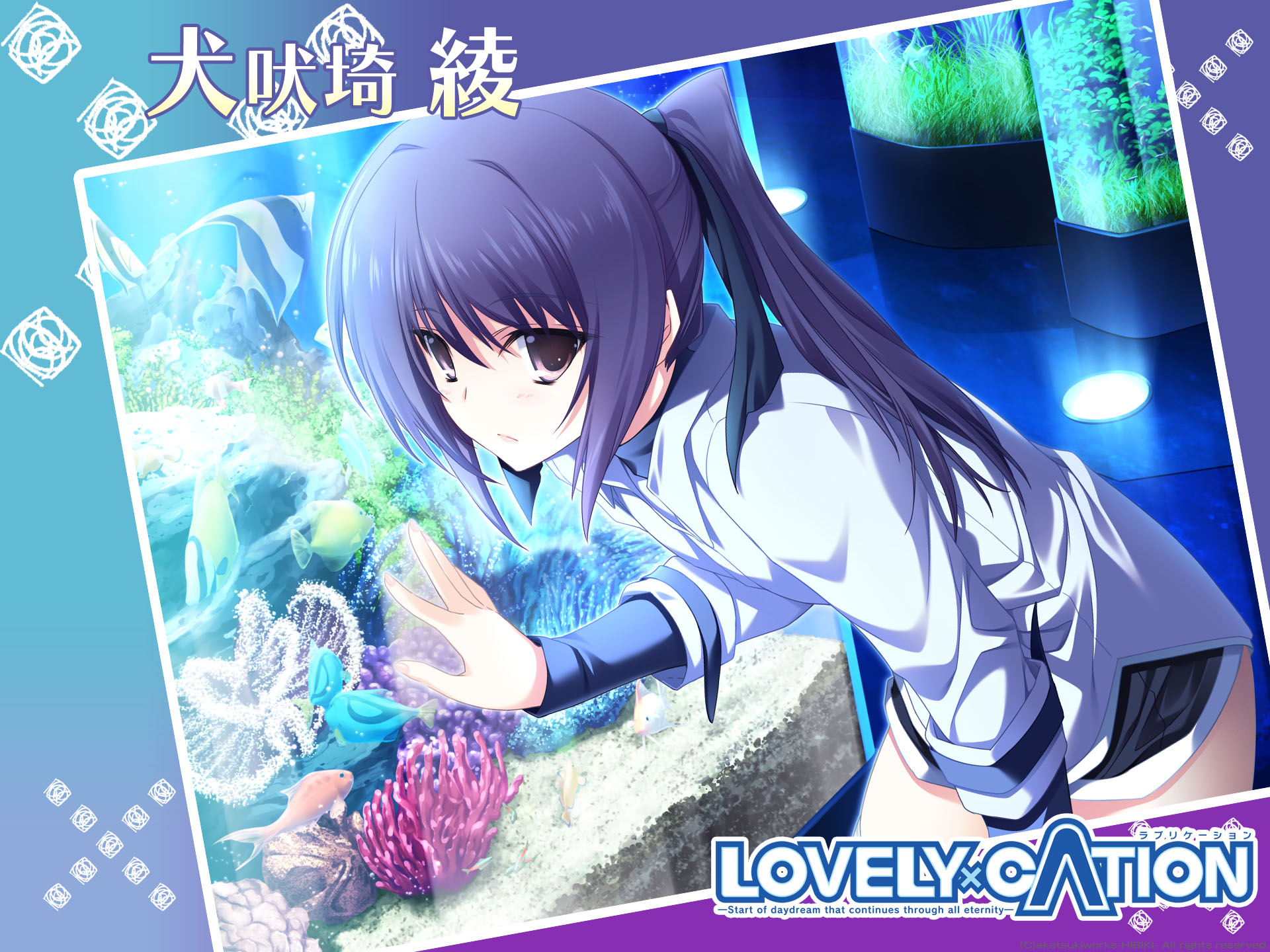 chaostcg 学園最強の鉄壁「出水和琴」 SP サインカード chaostcg